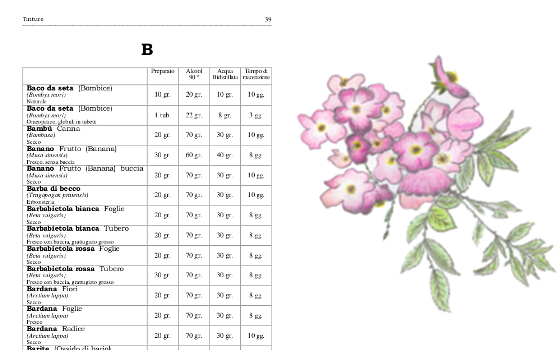 Il pendolo e la rosa di Giacomo Bosio
