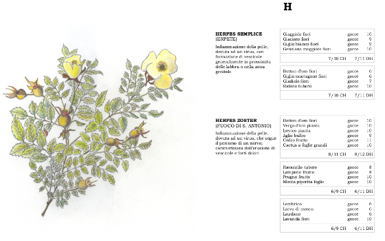 Il pendolo e la rosa di Giacomo Bosio